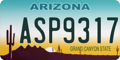AZ license plate ASP9317