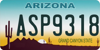 AZ license plate ASP9318