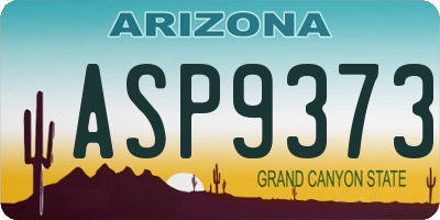 AZ license plate ASP9373