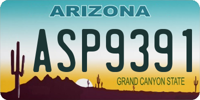 AZ license plate ASP9391