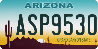 AZ license plate ASP9530
