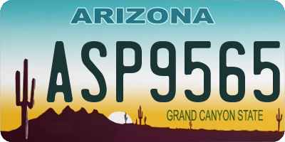 AZ license plate ASP9565