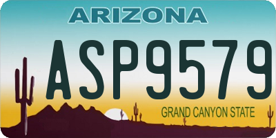 AZ license plate ASP9579