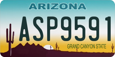 AZ license plate ASP9591