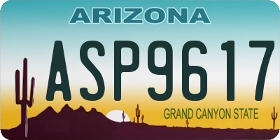 AZ license plate ASP9617