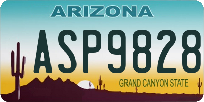 AZ license plate ASP9828