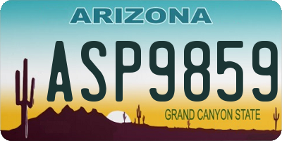 AZ license plate ASP9859