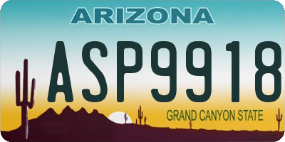 AZ license plate ASP9918