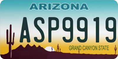 AZ license plate ASP9919