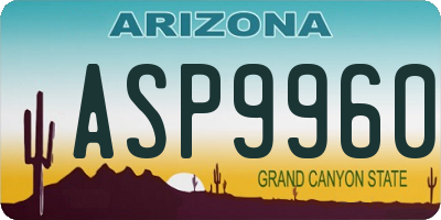 AZ license plate ASP9960