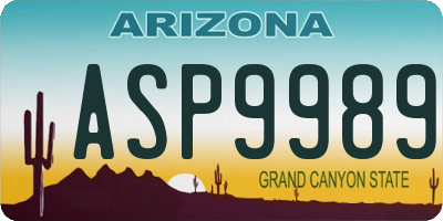 AZ license plate ASP9989