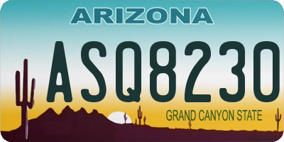 AZ license plate ASQ8230