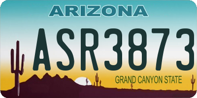 AZ license plate ASR3873