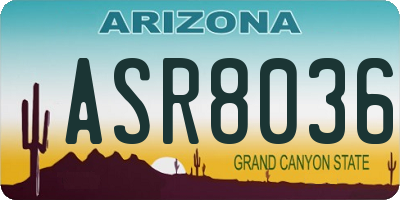 AZ license plate ASR8036