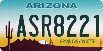 AZ license plate ASR8221