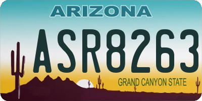 AZ license plate ASR8263