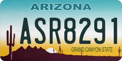 AZ license plate ASR8291
