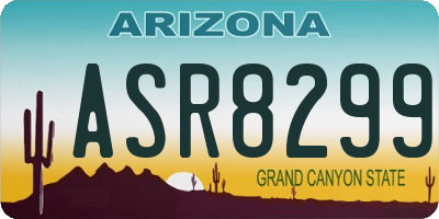 AZ license plate ASR8299