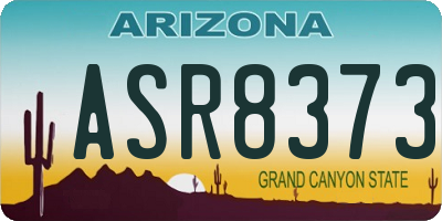 AZ license plate ASR8373