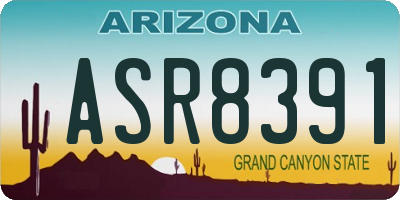 AZ license plate ASR8391