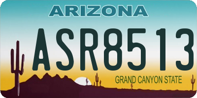 AZ license plate ASR8513