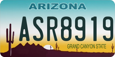 AZ license plate ASR8919