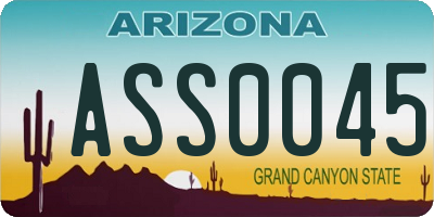 AZ license plate ASS0045