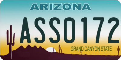 AZ license plate ASS0172