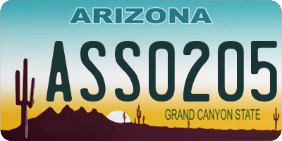 AZ license plate ASS0205
