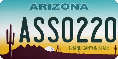 AZ license plate ASS0220