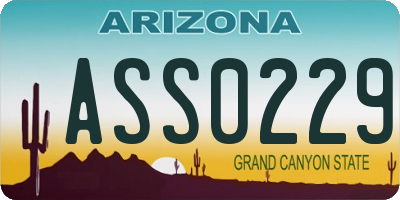 AZ license plate ASS0229