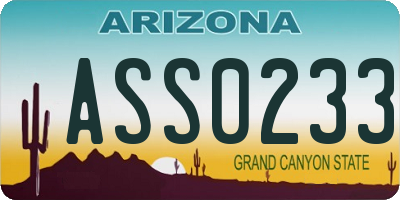 AZ license plate ASS0233
