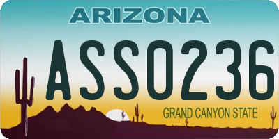 AZ license plate ASS0236