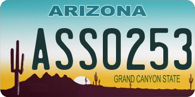 AZ license plate ASS0253