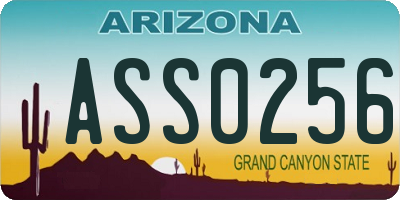 AZ license plate ASS0256