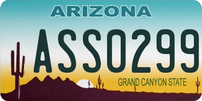 AZ license plate ASS0299