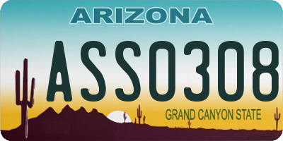 AZ license plate ASS0308