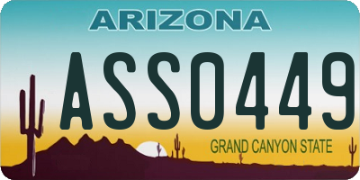AZ license plate ASS0449
