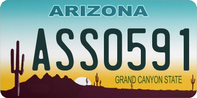 AZ license plate ASS0591