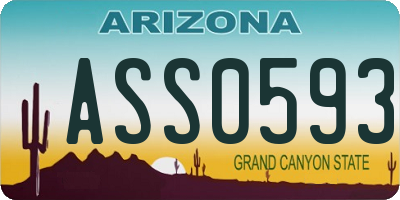 AZ license plate ASS0593