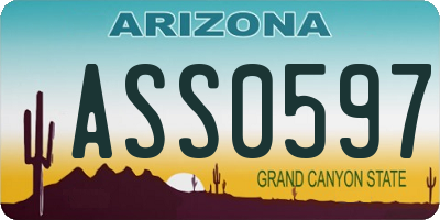 AZ license plate ASS0597