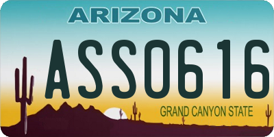 AZ license plate ASS0616