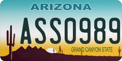 AZ license plate ASS0989