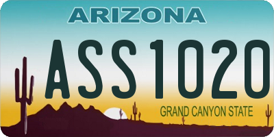 AZ license plate ASS1020