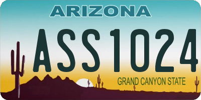 AZ license plate ASS1024