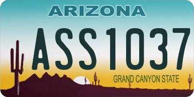 AZ license plate ASS1037