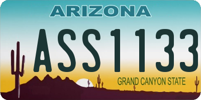 AZ license plate ASS1133