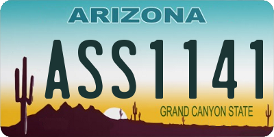 AZ license plate ASS1141