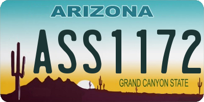 AZ license plate ASS1172