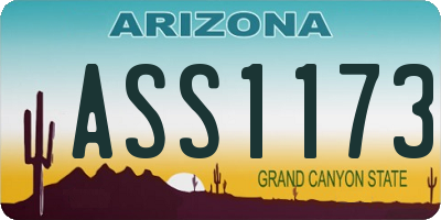 AZ license plate ASS1173